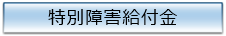 特別障害給付金